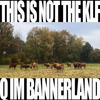 This Is Not The KLF (Q im Bannerland) by LDX#40