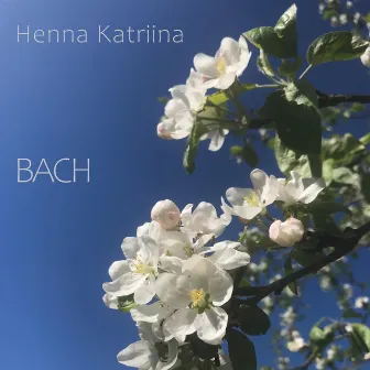 Bach by Henna Katriina