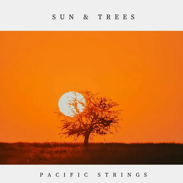 Pacific Strings