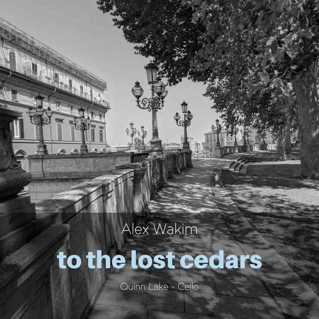 To the Lost Cedars