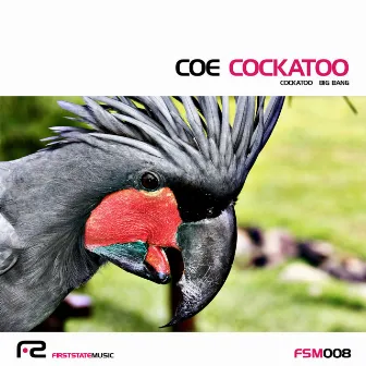 Cockatoo by Coe