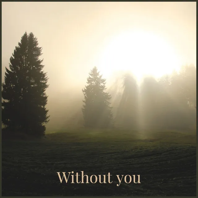 Without you - Instrumental