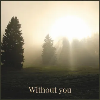 Without you by David Bridson