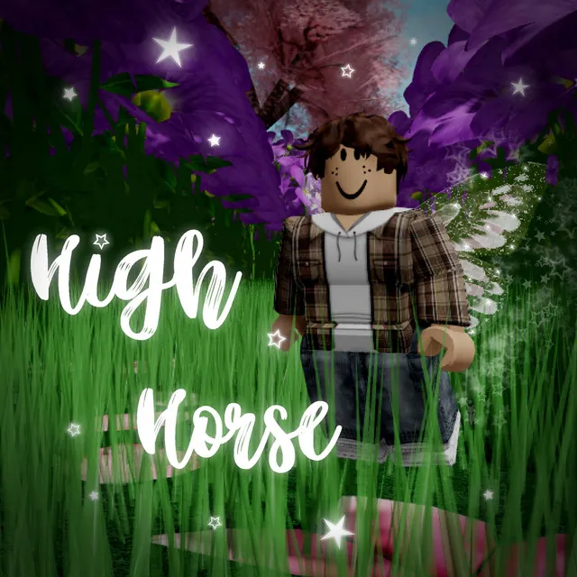 high horse