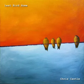 Last Bird Home by Chris Castle