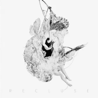 Recluse by Intriguant