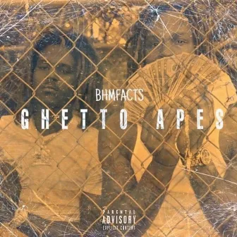 Ghetto Apes by BHM Facts