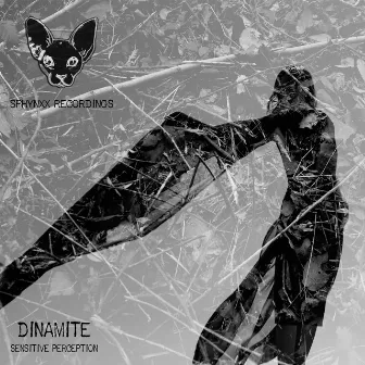 Sensitive Perception by Dinamite