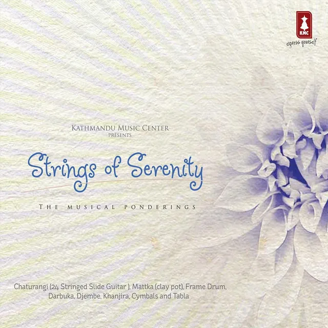 Strings of Serenity (The Musical Pondering)