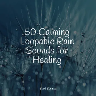 50 Calming Loopable Rain Sounds for Healing by Nature Sounds Artists