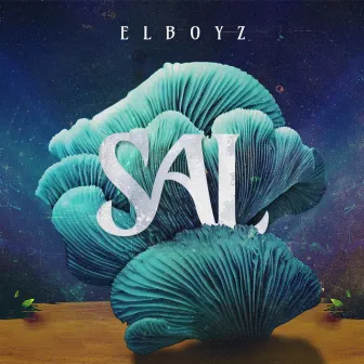 Sal by Elboyz