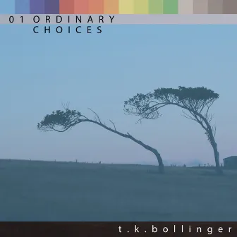 Ordinary Choices by T.K. Bollinger