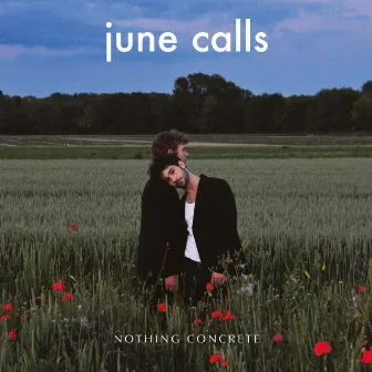 Nothing Concrete by June Calls