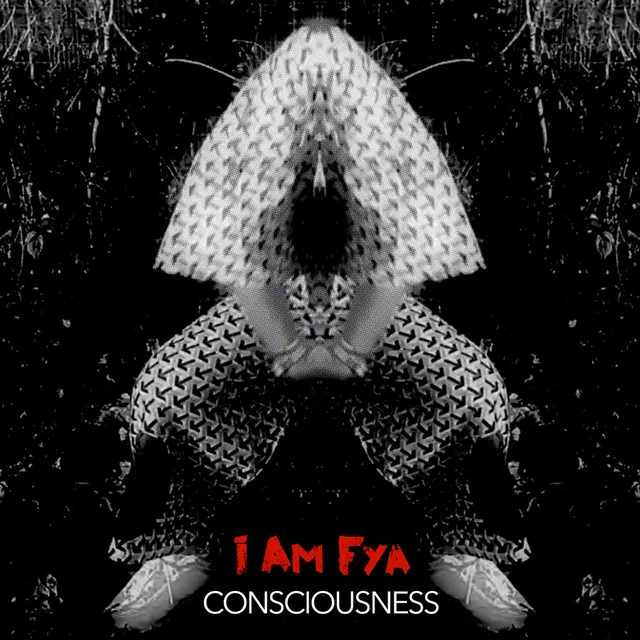 Consciousness