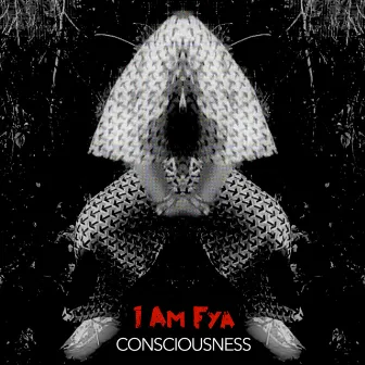 Consciousness by I Am Fya