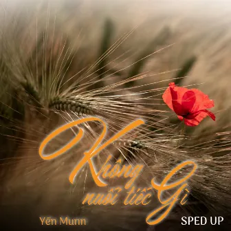 Không Nuối Tiếc Gì (Sped Up) by 