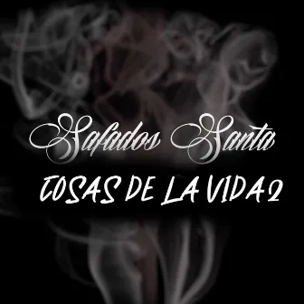 Cosas de la Vida 2 by Safados Santa