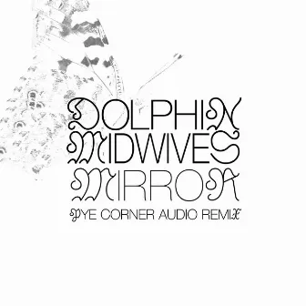 Mirror by Dolphin Midwives