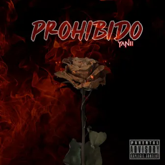 YANII, DGFlow (Prohibido) by YANII