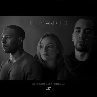 Niets Anders (Unplugged) by Wudstik