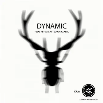 Dynamic by Fede Key