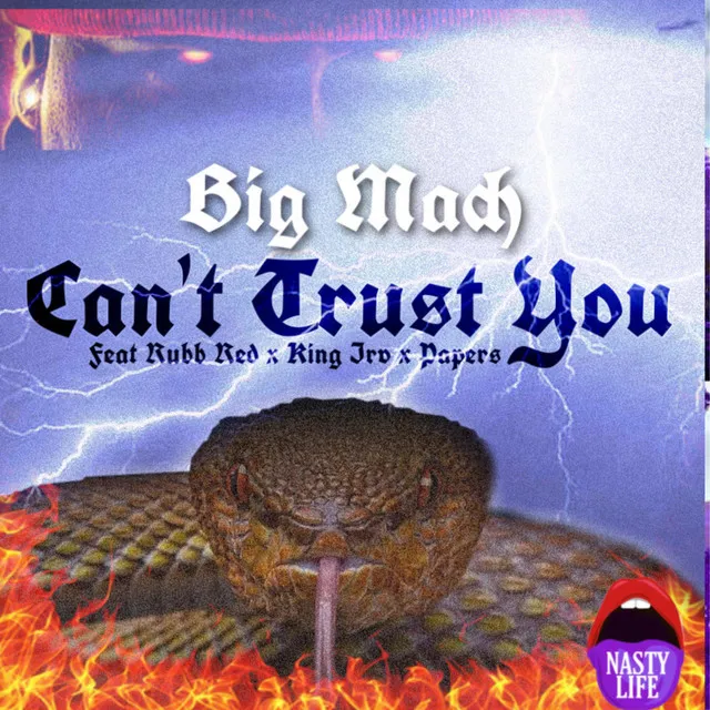 Can't Trust You