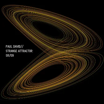 Strange Attractor by Unknown Artist