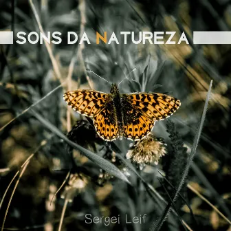 Sons da natureza by Sergei Leif