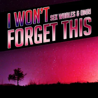 I Won't Forget This by Omri