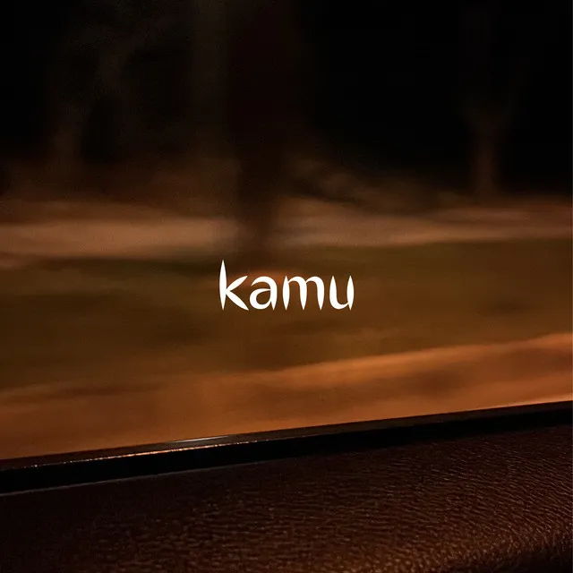 Kamu