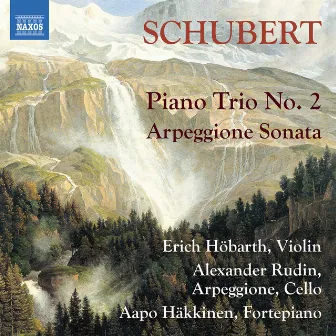 Schubert: Chamber Works by Alexander Rudin