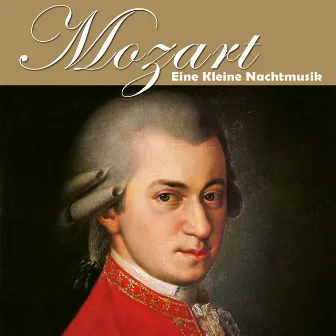 Mozart: Eine kleine Nachtmusik by Werner Stiefel