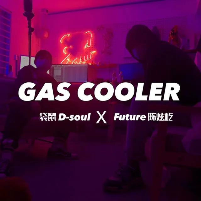 Gas cooler