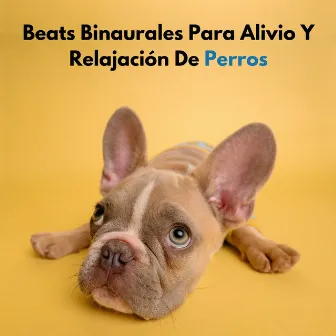 Beats Binaurales Para Alivio Y Relajación De Perros by Relajación de ritmos binaurales