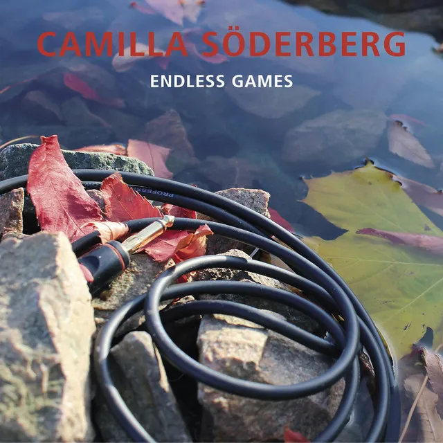 An Endless Game?