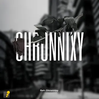 Chronnixy by 3dotsZimbabwe