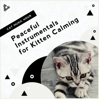 Peaceful Instrumentals for Kitten Calming by Music for Kittens