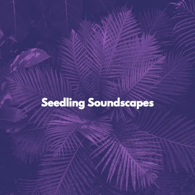 Seedling Soundscapes