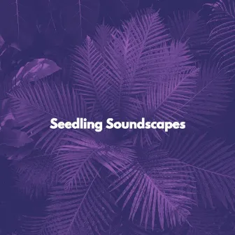 Seedling Soundscapes by Música de Elevador Estados De ànimo