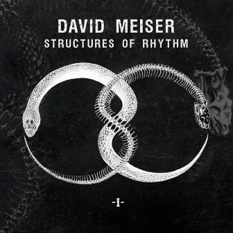 Structures of Rhythm (P1) by David Meiser