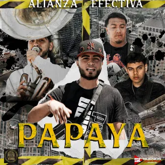 Papaya by Alianza Efectiva