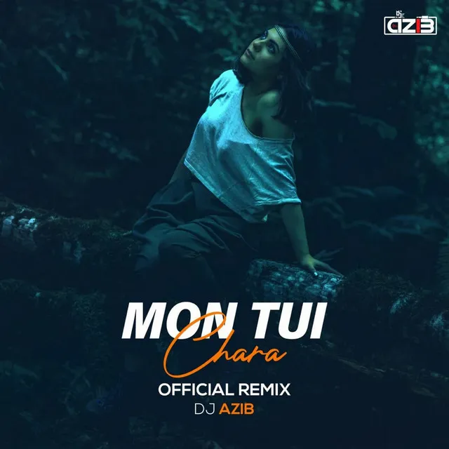 Mon Tui Chara (Official Remix) DJ Azib