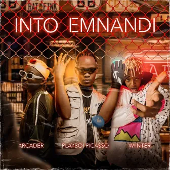 Into Emnandi by Playboi Picasso