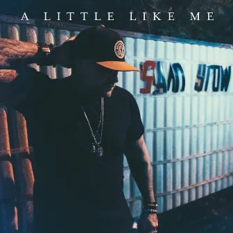 A Little Like Me by Sam Grow