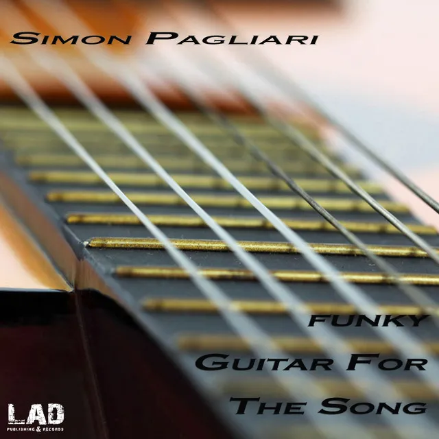 Funky Guitar For The Song - Radio Mix