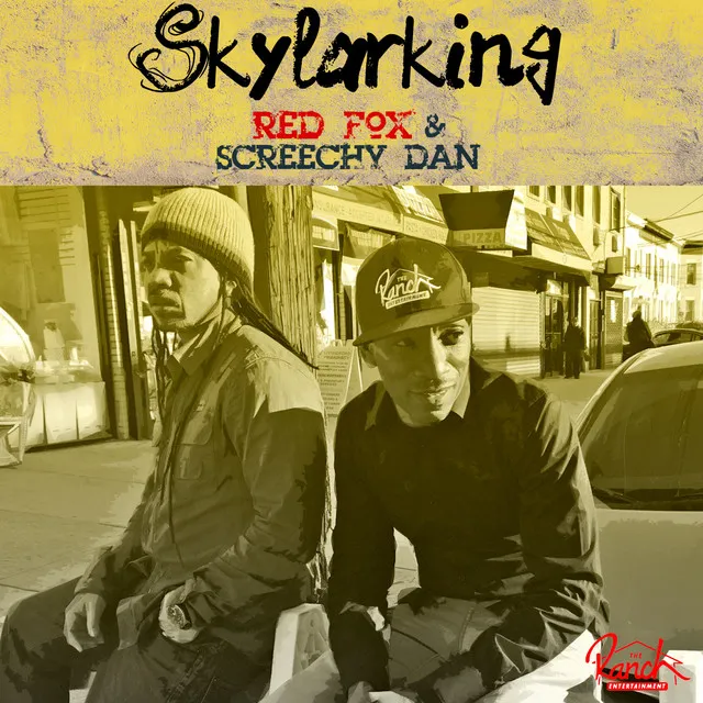 Skylarking