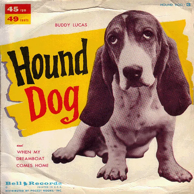 Hound Dog