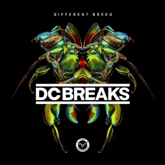 Different Breed by DC Breaks