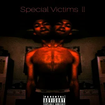 Special Victims ll by Shaquees