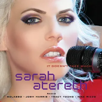 It Doesn't Take Much (The Radio Remixes) by Sarah Atereth